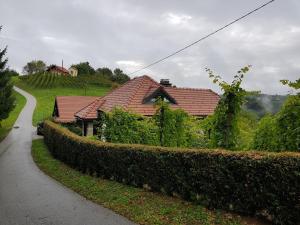 Wine & Nature & Tour 