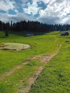 Koča na Kranjski dolini Krnica 93 a,Pokljuka 