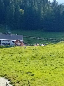 Koča na Kranjski dolini Krnica 93 a,Pokljuka 