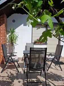 Apartma Renata 