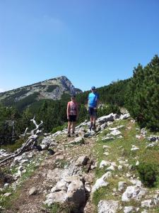 Turistična Kmetija Zgornji Zavratnik 