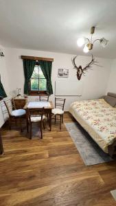 Apartment Olga 
