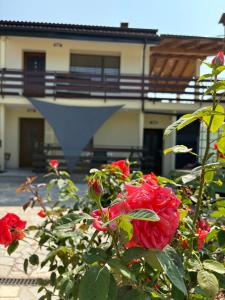 Suzi Apartments