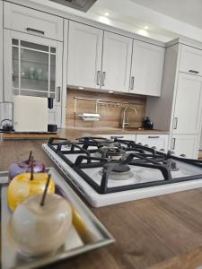 Apartma VINT 