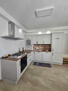 Apartma VINT 