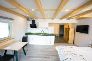 Apartma Pr' Bavnč 