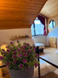 Alpine Sun apartment 
