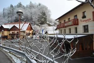 Pri Vidrgarju 