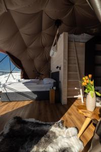 Stargazing Glamping Domes Golte 