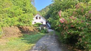 Vila Anton 