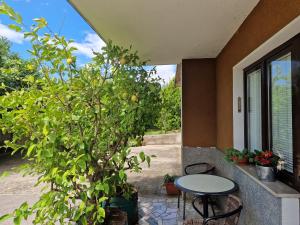 Apartma Zeleni mir 