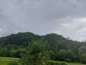 Pr DOLENC 