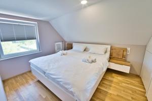 Apartma Mars 