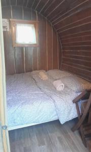 Glamping Medvedjek - Nočitev v vinskem sodu 