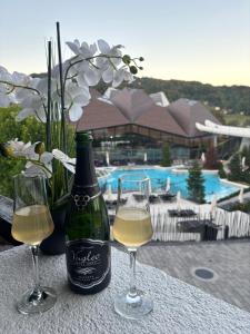 Apartman O Terme Olimia