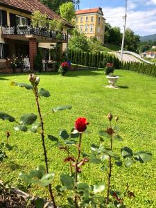 Apartma center 