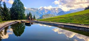 Holiday chalet "ALPINE DREAMS" with PRIVATE WELLNESS 