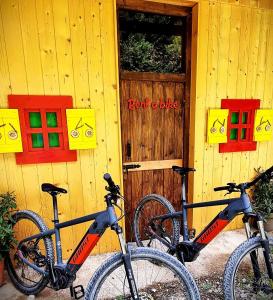 Holiday chalet "ALPINE DREAMS" with PRIVATE WELLNESS 