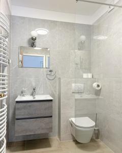 Apartment and rooms Maraton 
