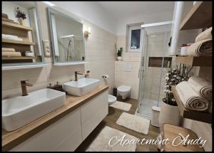 Apartment Andy 
