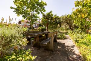 Apartment Lemut 