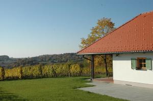 Country house Martinova Klet 