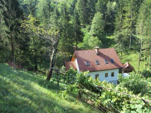 House Dolenja Trebuša 