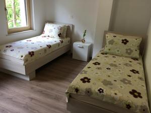 Apartment Lapanja 