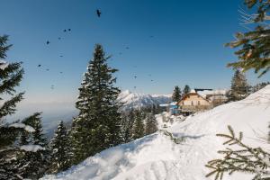 Hotel House Rozka 