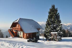 Apartmaji Srnca 