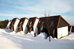 Bungalows Rogla 