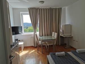 Trnovo apartment with free parking 