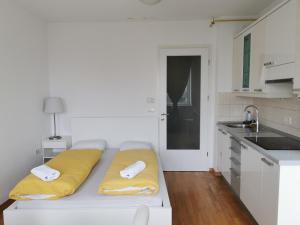 Trnovo apartment with free parking 