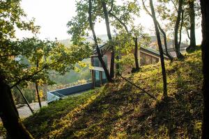 Apartment Oton Reya 