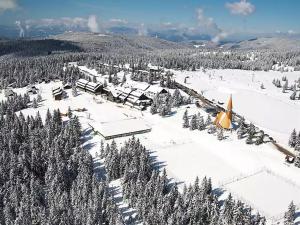 Zeleni Apartment Rogla 