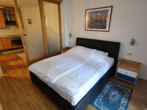 Apartment Brinovec 