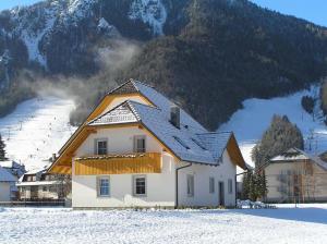 Apartmaji Mlinar 