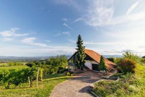 Cosy Hill Home Rucman With a Breathtaking View 