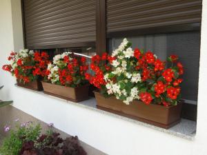 Apartma Jezero 