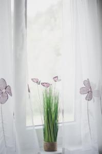 Apartma Trebušca 