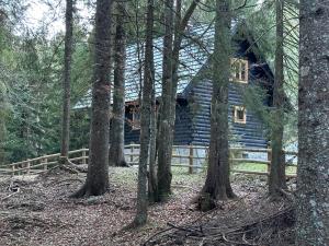 Cosy Lodge Pokljuka 