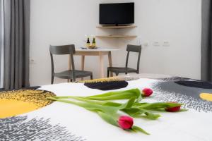Apartma Grže 