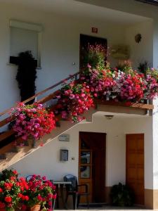 Apartma pod Rožem 
