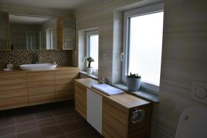 Guesthouse Avsenik 