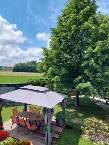 Apartma Žirovnik 