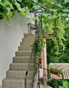 Apartma NADIŽA Borjana107 