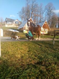 Apartma Pr' Vok 