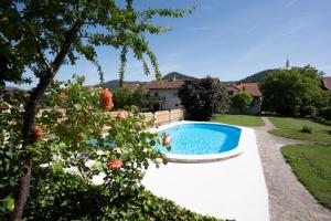 Villa LISA - VILLA WITH SWIMMING POOL AND HUGE GARDEN 