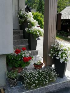 Apartma SIMONA 