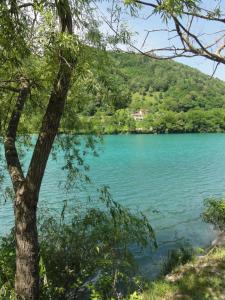 Apartma Jezero 